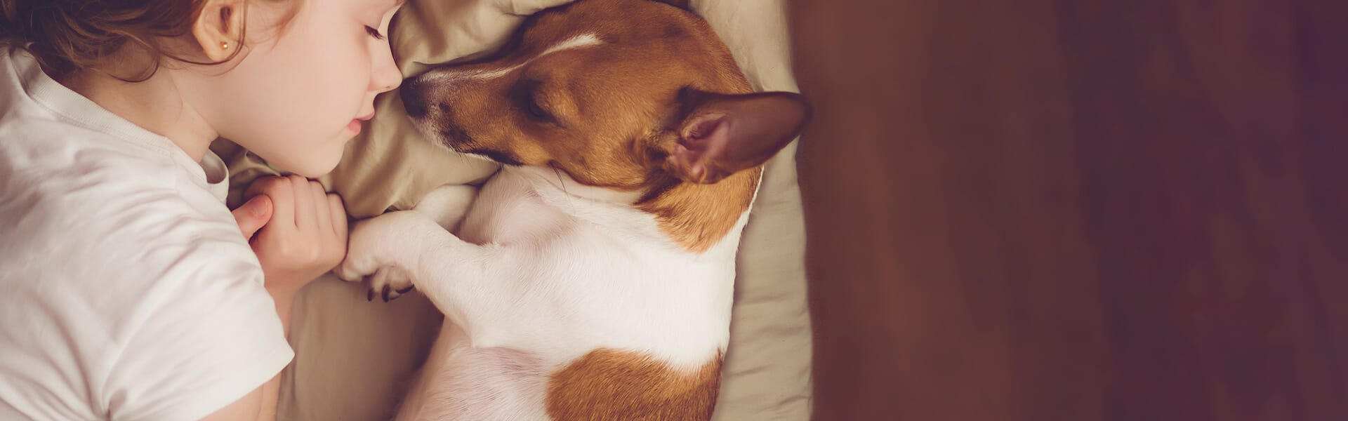 o fetita doarme alaturi de un catel