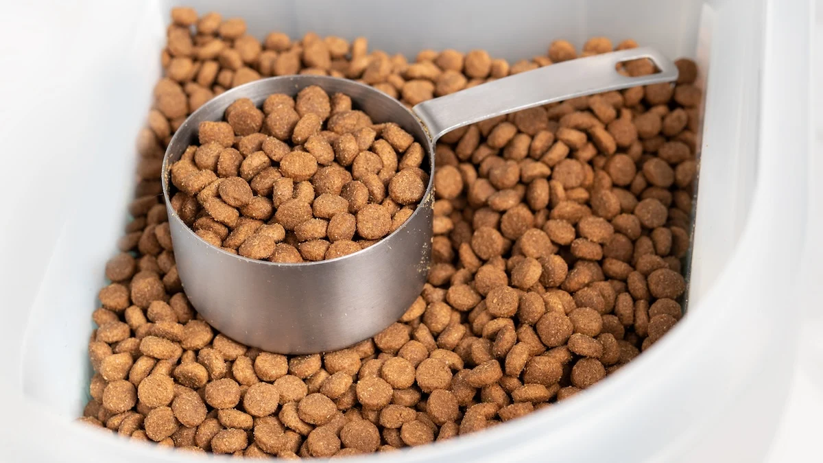 5 sfaturi pentru schimbarea hranei la caini 2 does dog food