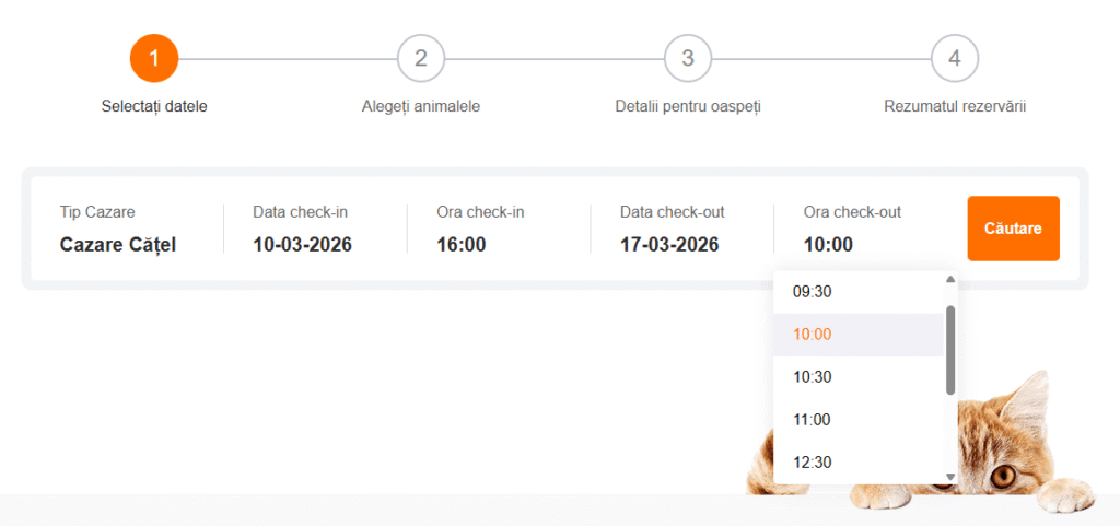 Pasul 1 e1772920531480